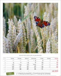 Bildkalender »Landpartie«, 245x345 mm, Juli