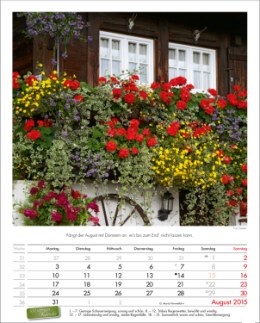 Bildkalender »Landpartie«, 245x345 mm, August