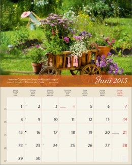 Bildkalender »Landleben«, 245x345 mm, Juni