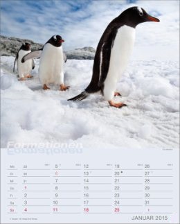 Bildkalender »Formationen«, 245x345 mm, Januar