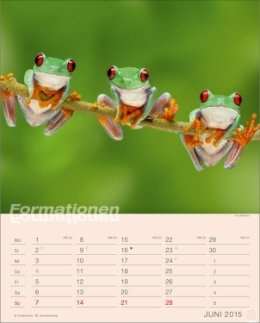Bildkalender »Formationen«, 245x345 mm, Juni