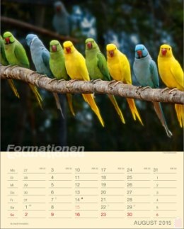 Bildkalender »Formationen«, 245x345 mm, August