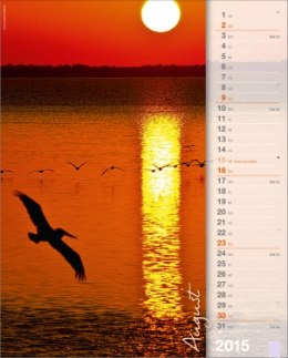 Bildkalender »Lebendiges Wasser«, 245x345 mm, August