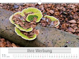Bildkalender »Naturschauspiele«, 440x310 mm, November