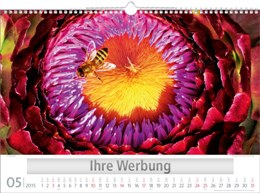 Bildkalender »Naturschauspiele«, 440x310 mm, Mai