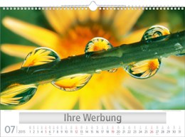 Bildkalender »Naturschauspiele«, 440x310 mm, Juli