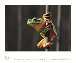 Bildkalender »Art of Nature«, 420x300 mm, Oktober