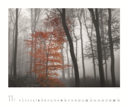 Bildkalender »Art of Nature«, 420x300 mm, November