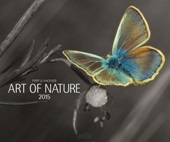 Bildkalender »Naturwunder«, 420x300 mm, Titelbild