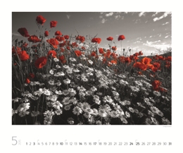 Bildkalender »Art of Nature«, 420x300 mm, Mai