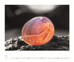 Bildkalender »Art of Nature«, 420x300 mm, Juli
