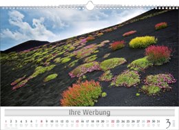 Bildkalender »Wunderwerke der Natur«, 490x340 mm, März