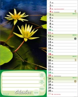 Bildkalender &raquo;G&uuml;nthers gr&uuml;ner Gartenplaner&laquo;, 245x345 mm, Oktober