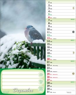 Bildkalender »Günthers grüner Gartenplaner«, 245x345 mm, Dezember