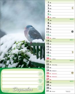 Bildkalender &raquo;G&uuml;nthers gr&uuml;ner Gartenplaner&laquo;, 245x345 mm, Dezember