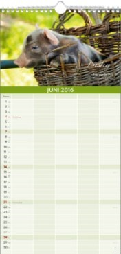 Bildkalender »Glückliche Tage«, 210x478 mm, Juni