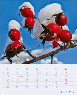 Bildkalender &raquo;Stille Momente&laquo;, 245x345 mm, Januar