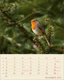 Bildkalender &raquo;Stille Momente&laquo;, 245x345 mm, November