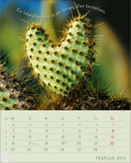 Bildkalender &raquo;Stille Momente&laquo;, 245x345 mm, Februar
