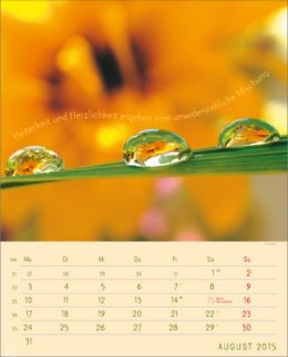 Bildkalender &raquo;Stille Momente&laquo;, 245x345 mm, August