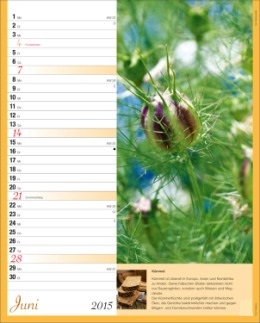 Bildkalender »Tee und Gewürze«, 245x345 mm, Juni