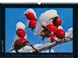 Bildkalender »Stille Momente«, 440x360 mm, Januar