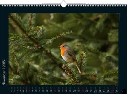 Bildkalender »Stille Momente«, 440x360 mm, November