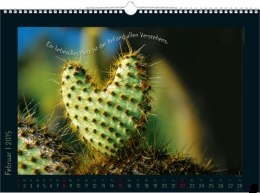 Bildkalender &raquo;Stille Momente&laquo;, 440x360 mm, Februar