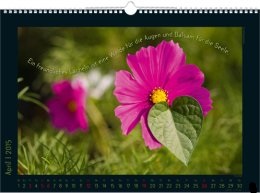 Bildkalender »Stille Momente«, 440x360 mm, April