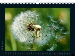 Bildkalender »Stille Momente«, 440x360 mm, Juli