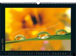 Bildkalender &raquo;Stille Momente&laquo;, 440x360 mm, August