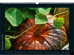 Bildkalender »Stille Momente«, 440x360 mm, September