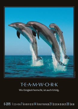 Bildkalender »Motivation«, 300x465 mm, Juni