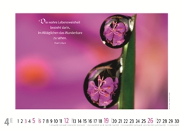 Bildkalender »Goldene Worte«, 420x345 mm, April