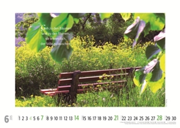 Bildkalender »Goldene Worte«, 420x345 mm, Juni