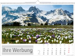 Bildkalender »Schweiz«, 440x360 mm, Februar