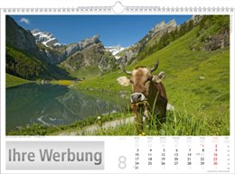 Bildkalender »Schweiz«, 440x360 mm, August
