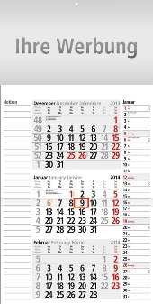 Dreimonatskalender »Combi-Notizplaner«, 300x595 mm