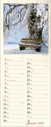 Streifenkalender »Verborgene Idylle«, 155x440 mm, Januar
