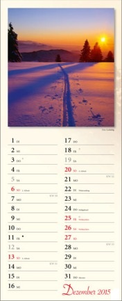 Streifenkalender »Verborgene Idylle«, 155x440 mm, Dezember