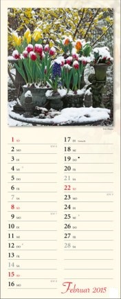 Streifenkalender »Verborgene Idylle«, 155x440 mm, Februar