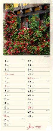 Streifenkalender »Verborgene Idylle«, 155x440 mm, Juni