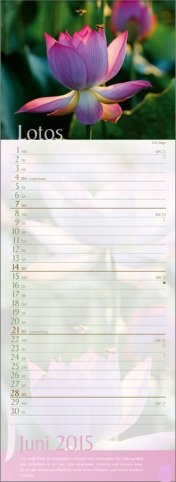 Streifenkalender »Erlebniswelt der Düfte«, 155x445 mm, Juni