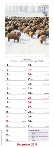 Streifenkalender »Landpartie«, 155x485 mm, Dezember