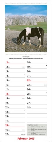 Streifenkalender »Landpartie«, 155x485 mm, Februar