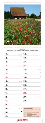Streifenkalender »Landpartie«, 155x485 mm, Juni