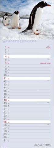 Streifenkalender »Formationen«, 155x485 mm, Januar