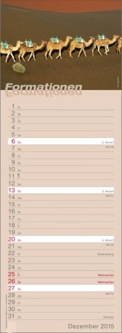 Streifenkalender »Formationen«, 155x485 mm, Dezember