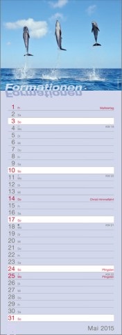 Streifenkalender »Formationen«, 155x485 mm, Mai