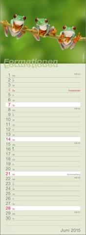 Streifenkalender »Formationen«, 155x485 mm, Juni